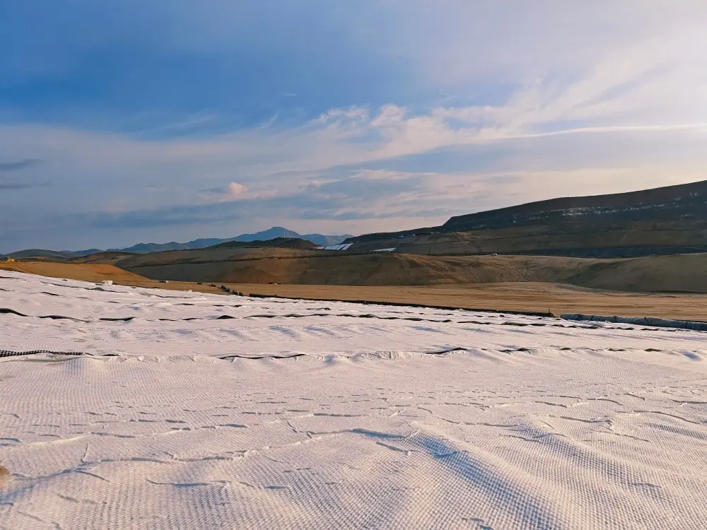 The reasons for adding a protective layer to geosynthetic membranes during construction (4).jpg