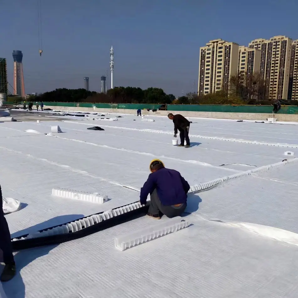 Sponge City Siphonic Waterproof and Drainage Collection System (4).jpg