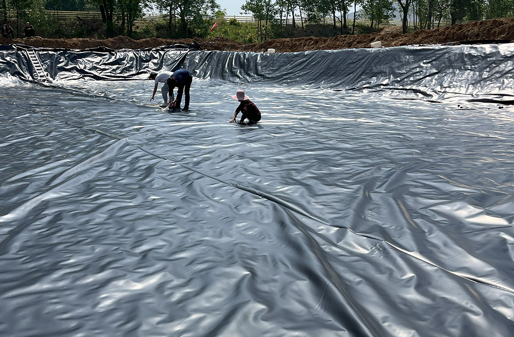 4 Agricultural breeding